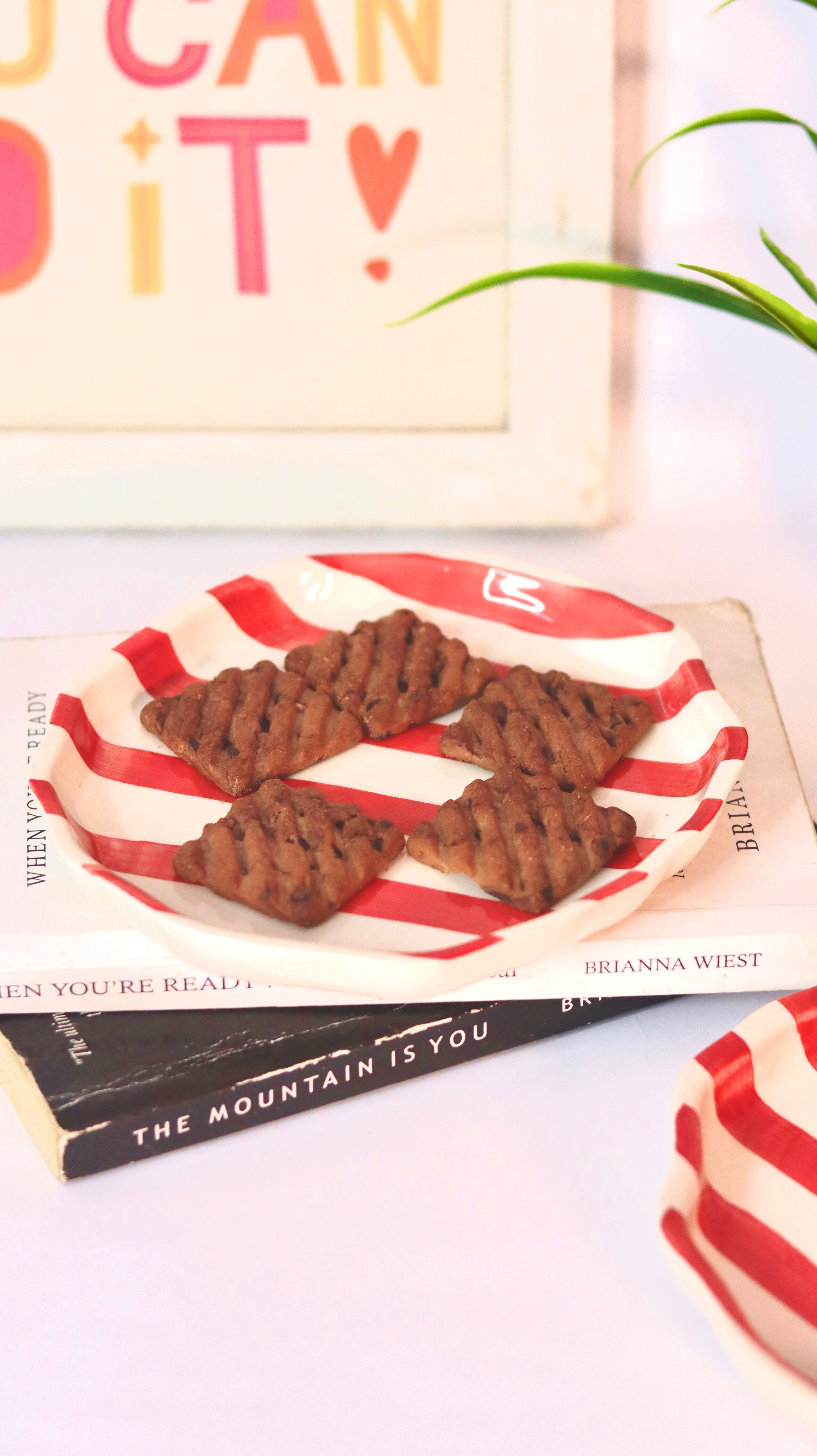 Rouge Strip Cookie Plate by KLAEORA – hand-painted ceramic dessert plate with red brushstroke patter