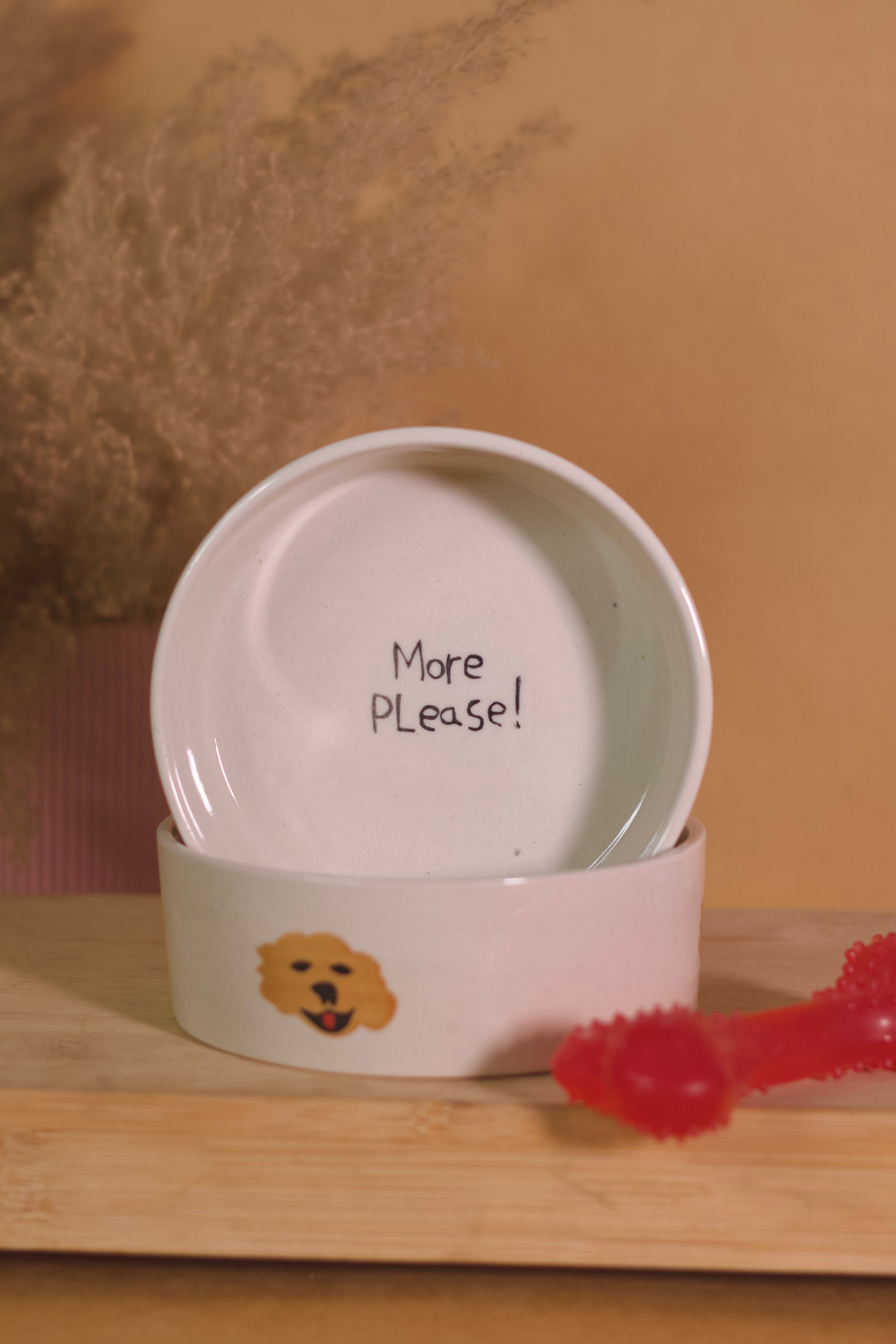 cute pet bowl