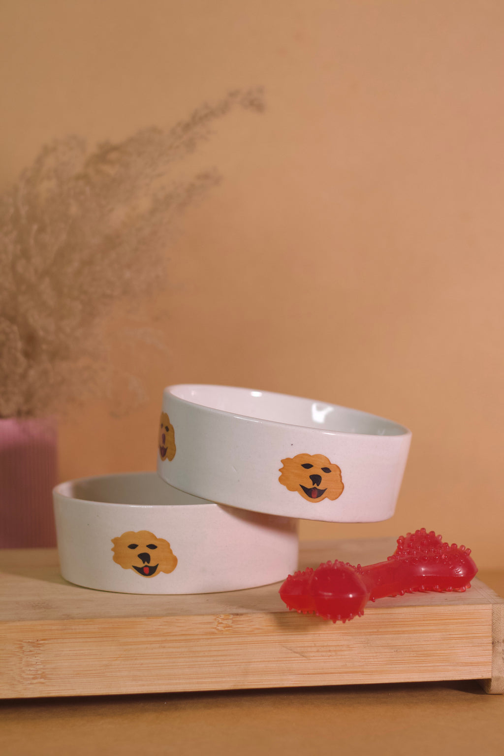 white pet bowl

