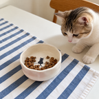 Meowgical Ceramic Cat Bowl – Cat Lover Gift