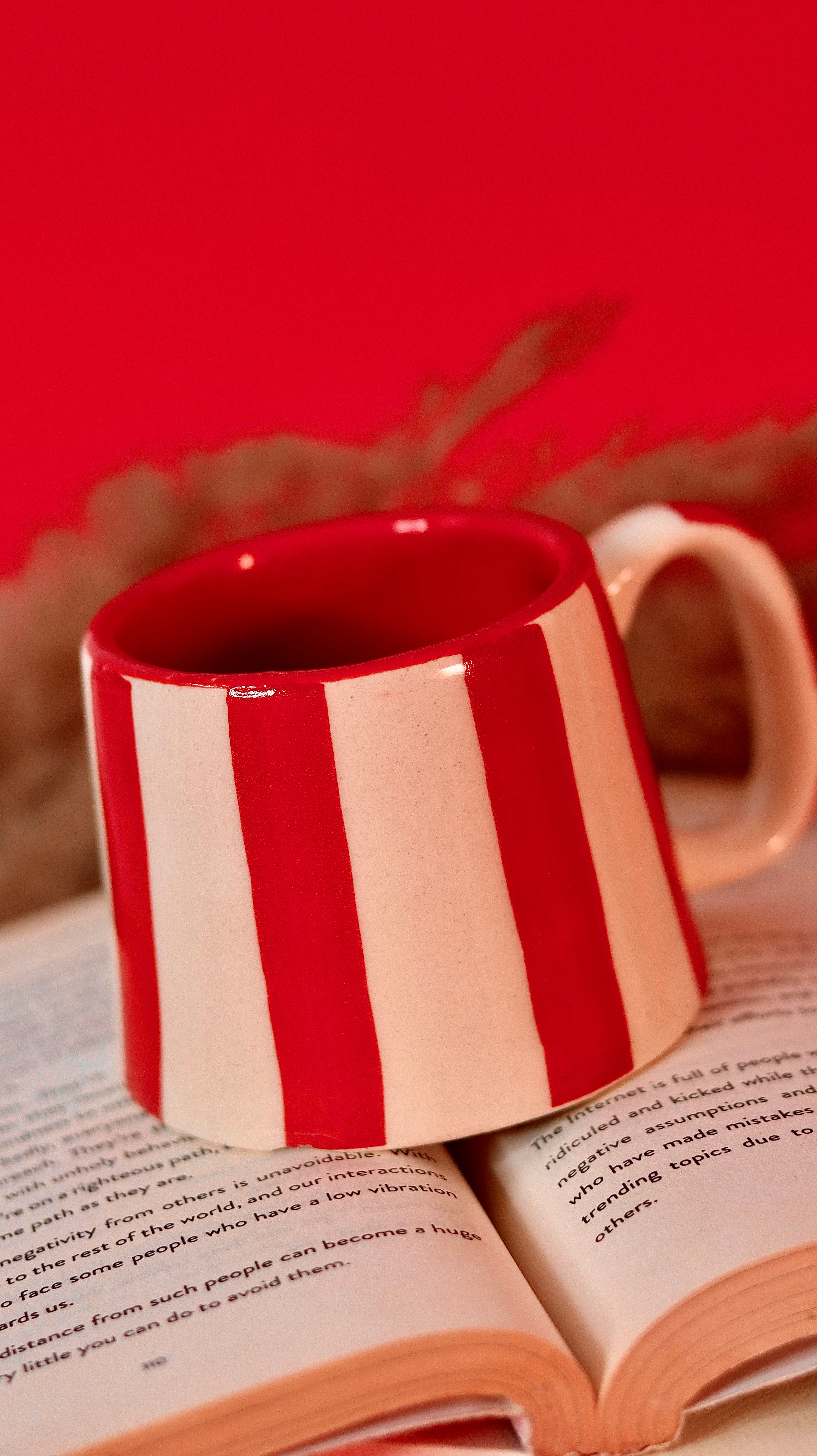 Red Streak Mug
